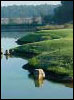 Grey Stone Golf Club